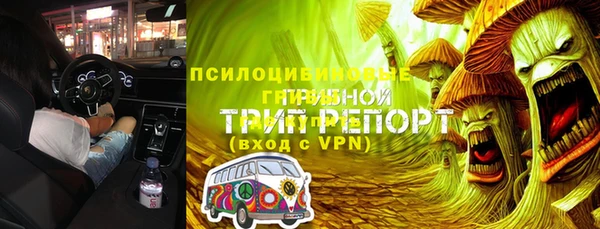 шишки Щигры
