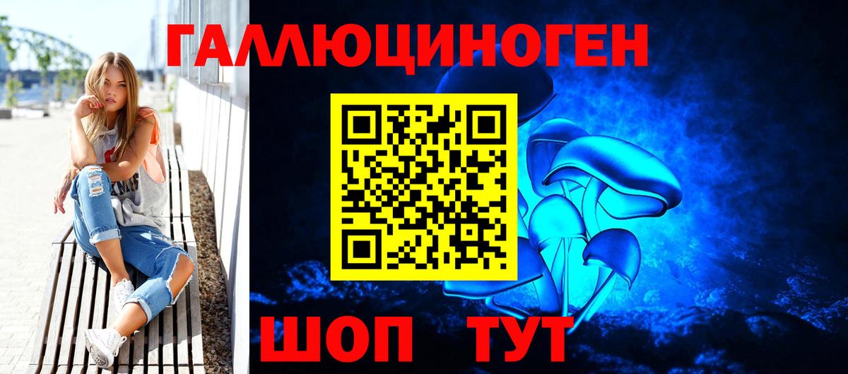 Псилоцибиновые грибы Psilocybe  купить  цена  Бахчисарай 