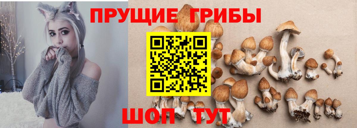 APVP  Хэш  ГАШ  Бошки Шишки  Вход с VPN  Канабис  Меф  Бахчисарай  Cocaine 